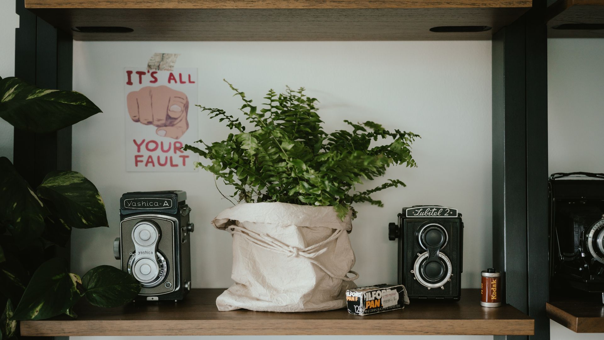 Staging annie-spratt-QcDLDyfjGL4-unsplash