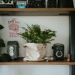 Staging annie-spratt-QcDLDyfjGL4-unsplash